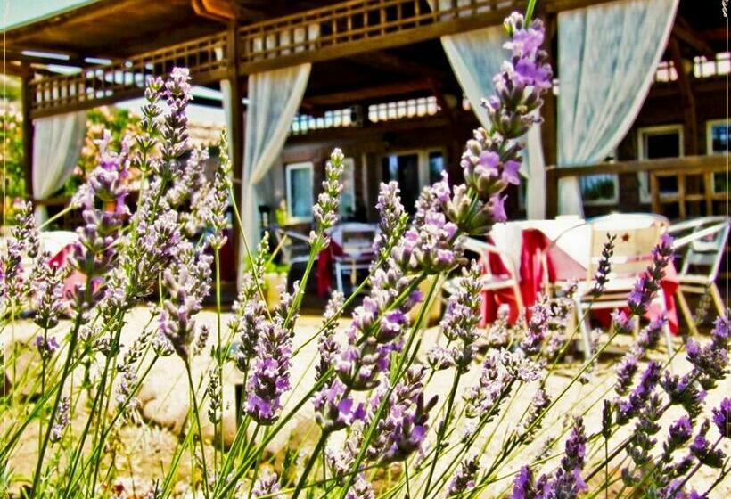 בית מלון כפרי Miramare