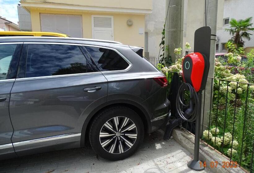 فندق Riva Palace