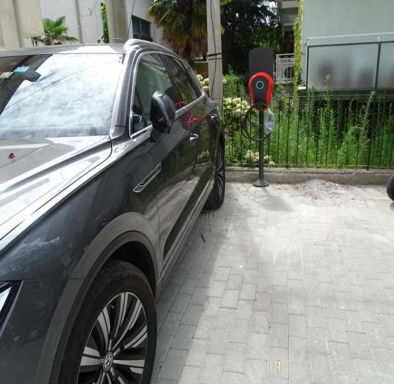 Отель Riva Palace