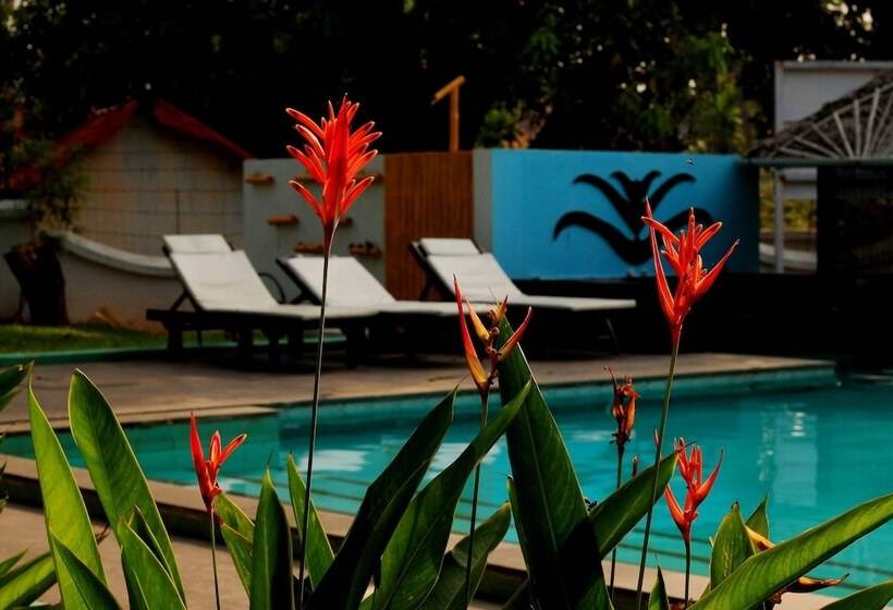 هتل Old Lighthouse Bristow