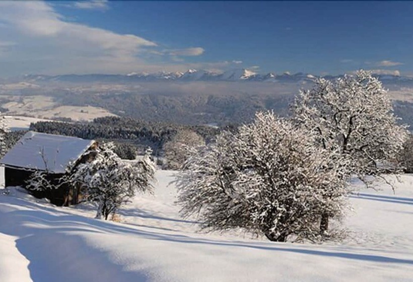 호텔 Post Regionales Großes Frühstücksbuffet Auch Gf & Lf