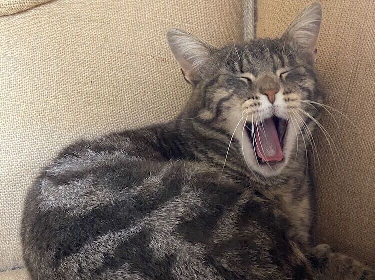 호텔 Relais Sant Elena