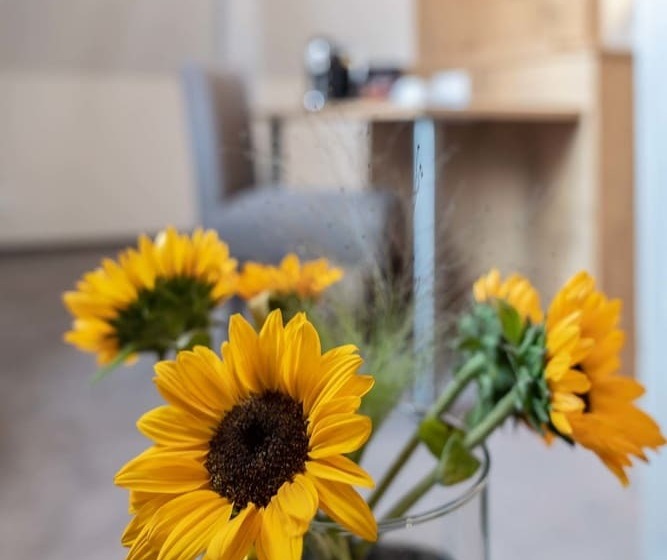 Отель & Restaurant Ritter Jorg