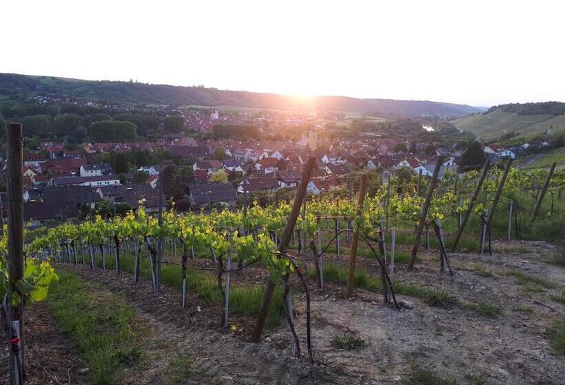 Отель & Restaurant Sonnenhöfle