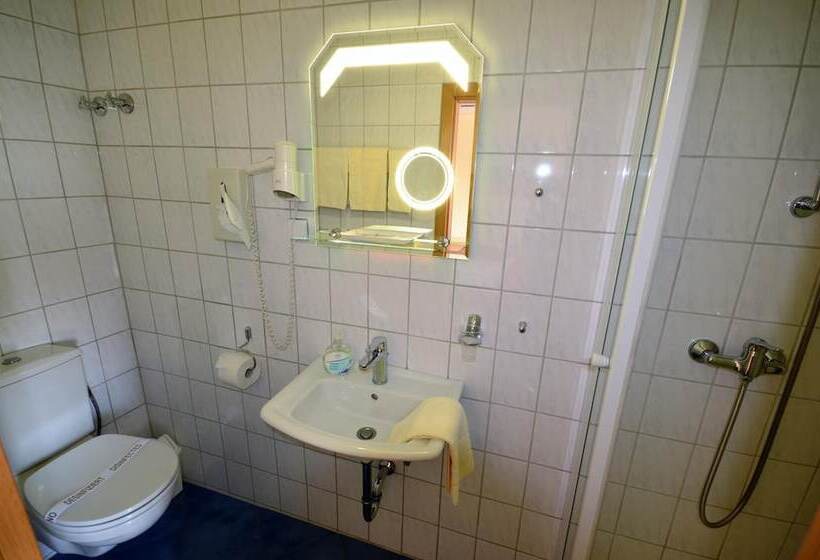 בית מלון כפרי Restaurant Zur Mainlust