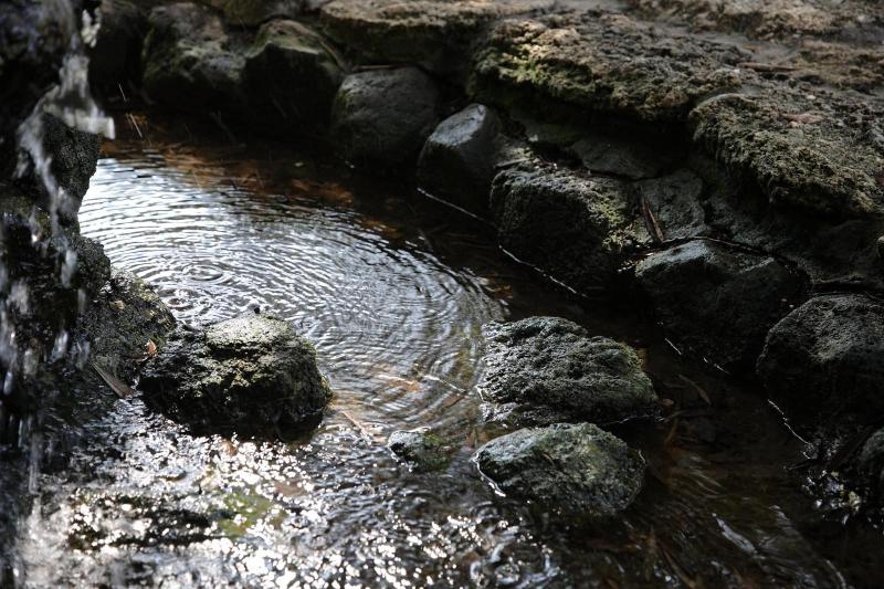 בית מלון כפרי Ristorante Sa Pedrera