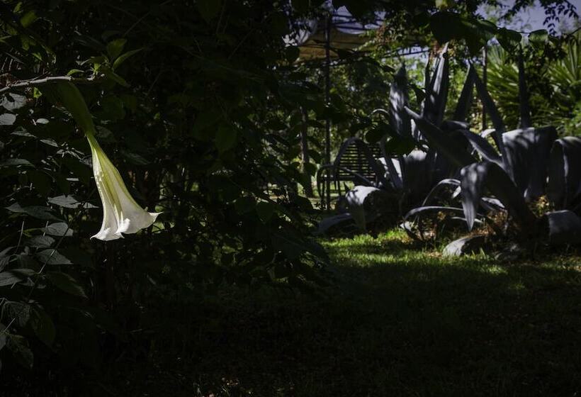 فندق Tenuta Santa Tecla