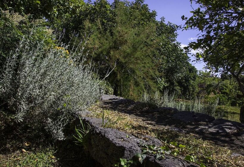 فندق Tenuta Santa Tecla