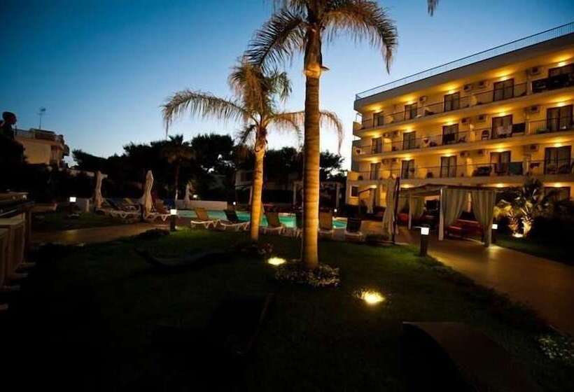 هتل Ticho S Greenblu