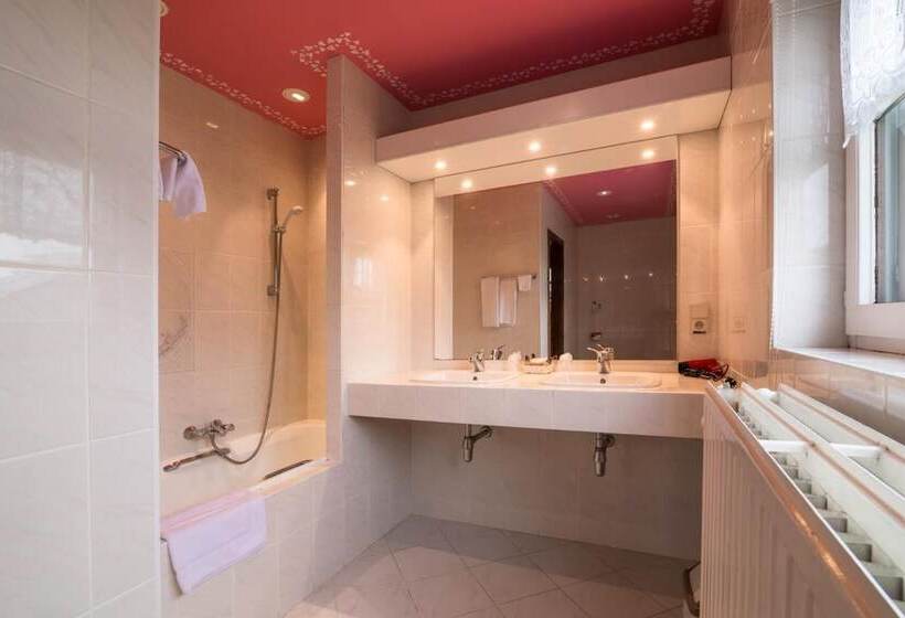 בית מלון כפרי Troopeird