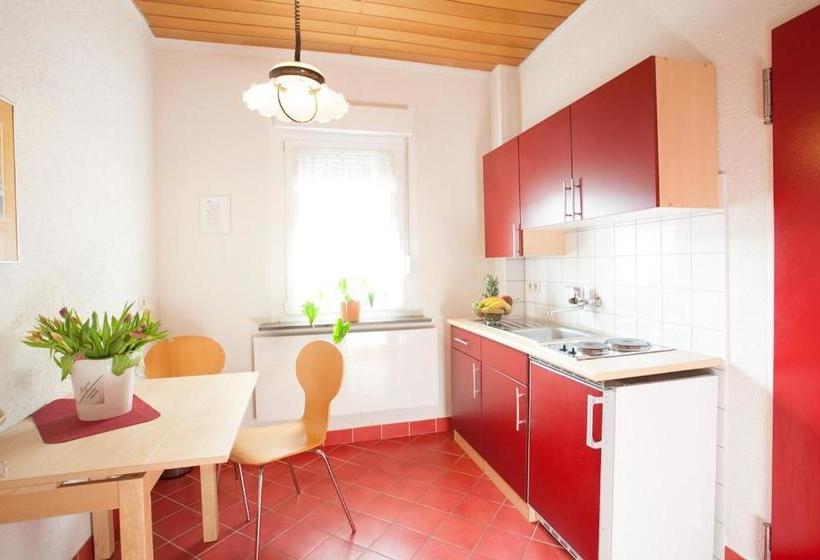 בית מלון כפרי Zum Rednitzgrund