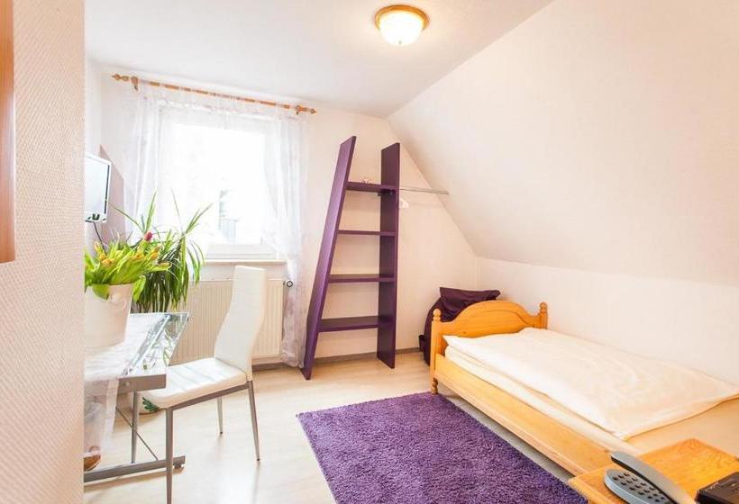 בית מלון כפרי Zum Rednitzgrund