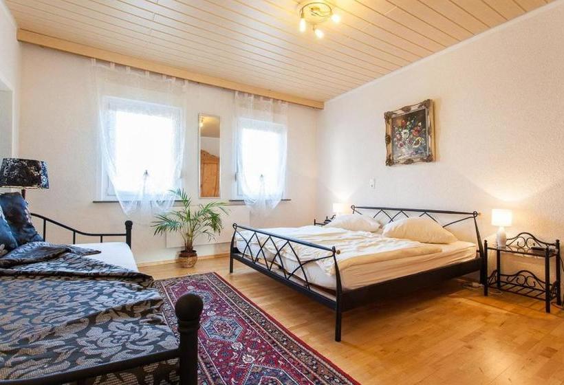 בית מלון כפרי Zum Rednitzgrund