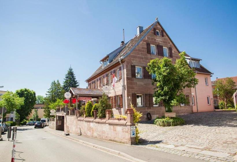 בית מלון כפרי Zum Rednitzgrund