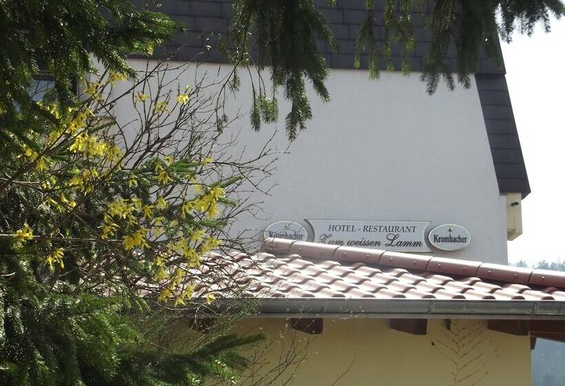 Отель Zum Weissen Lamm