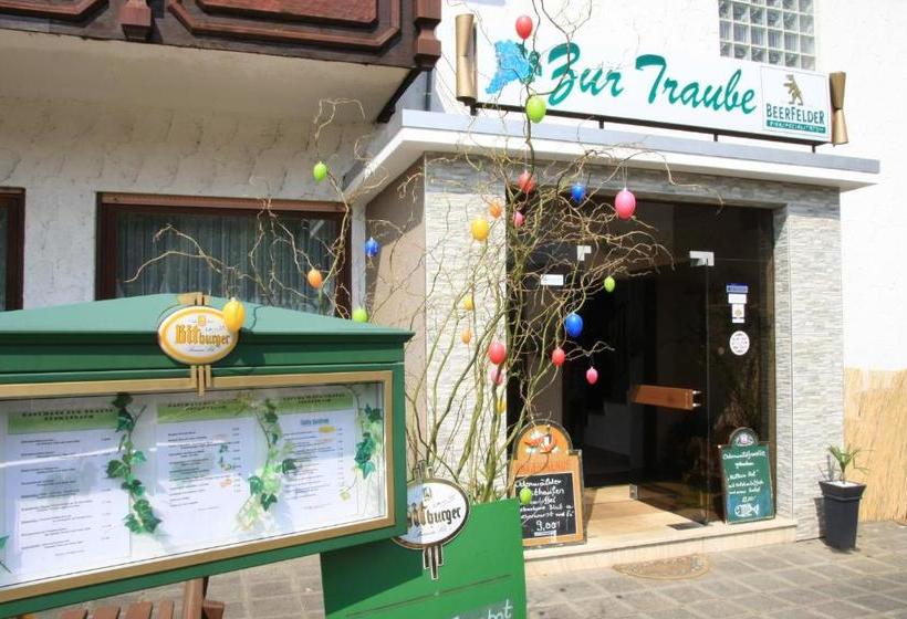 فندق Gasthof Zur Traube