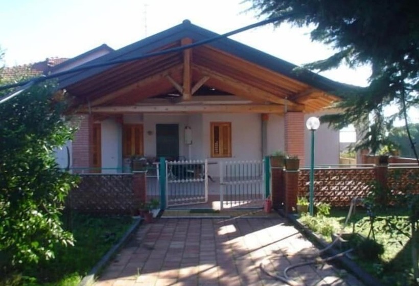 Il Vigneto   Bed & Breakfast