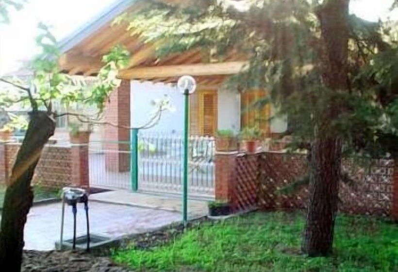 Il Vigneto   Bed & Breakfast