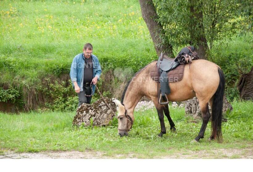 펜션 Landgasthof Feihl