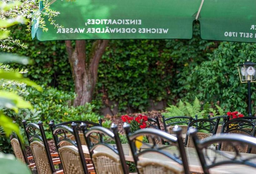 Пансион Brauereigasthof Und  Schmucker