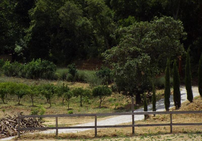 펜션 Turismo Rurale Cefalù