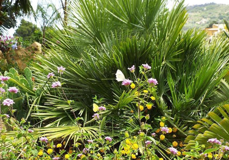 펜션 Turismo Rurale Cefalù