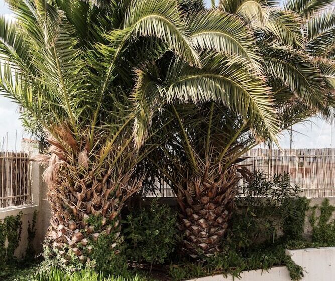 Residenza Santa Cecilia