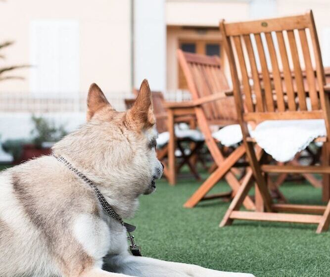 Residenza Santa Cecilia