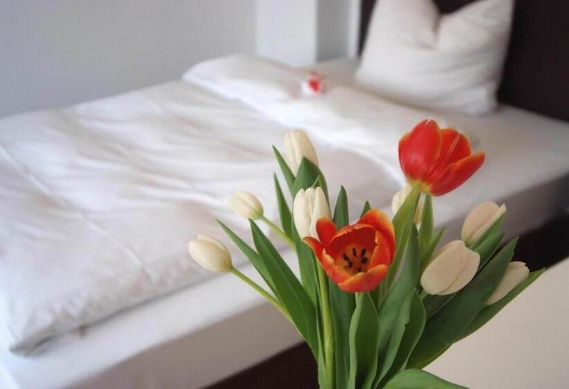 Seeger Living Comfort Downtown