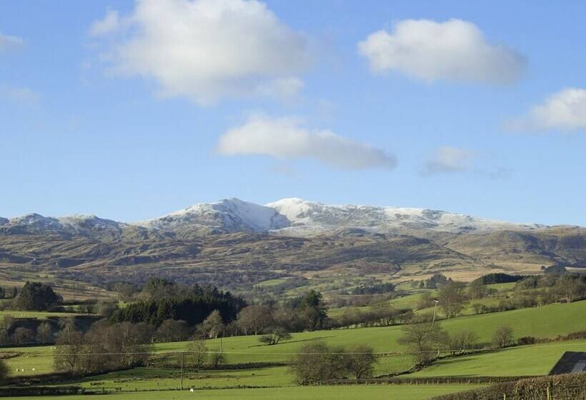 Cyffdy Cottage   Arenig