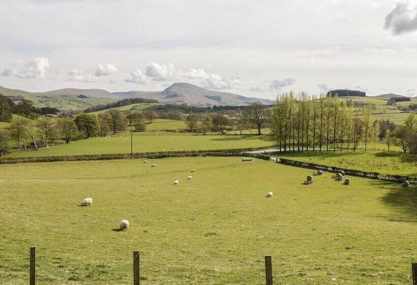 Cyffdy Cottage   Tegid