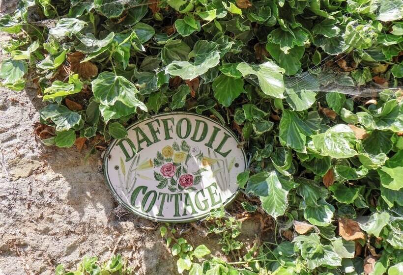 Daffodil Cottage