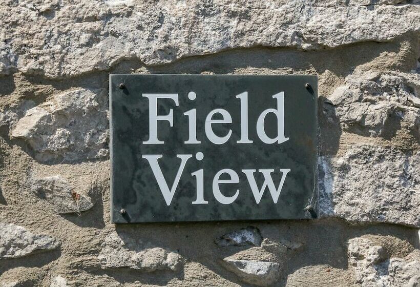 Field View