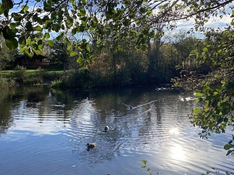 Отель Hazel Oaks