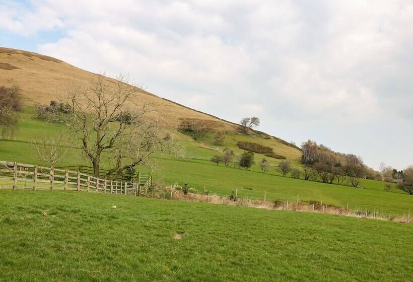 Meadow View