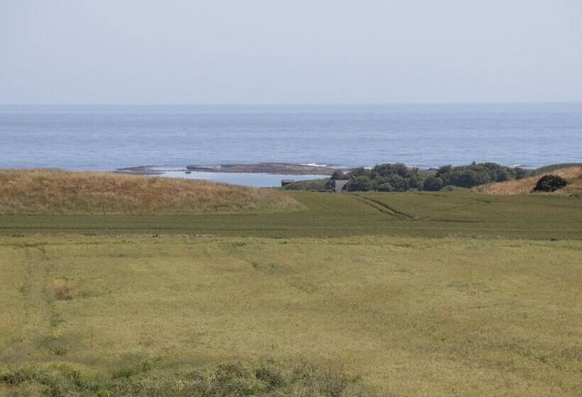 Newton View