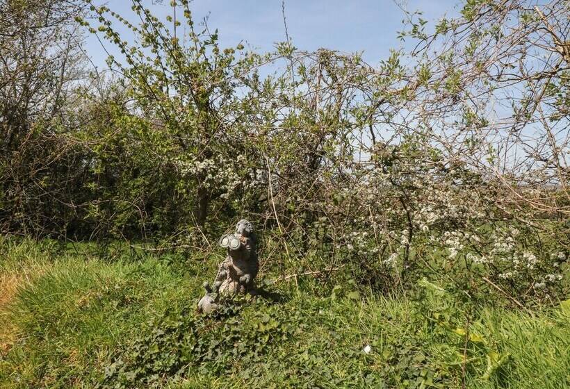 Northlands Country Cottage With Hot Tub