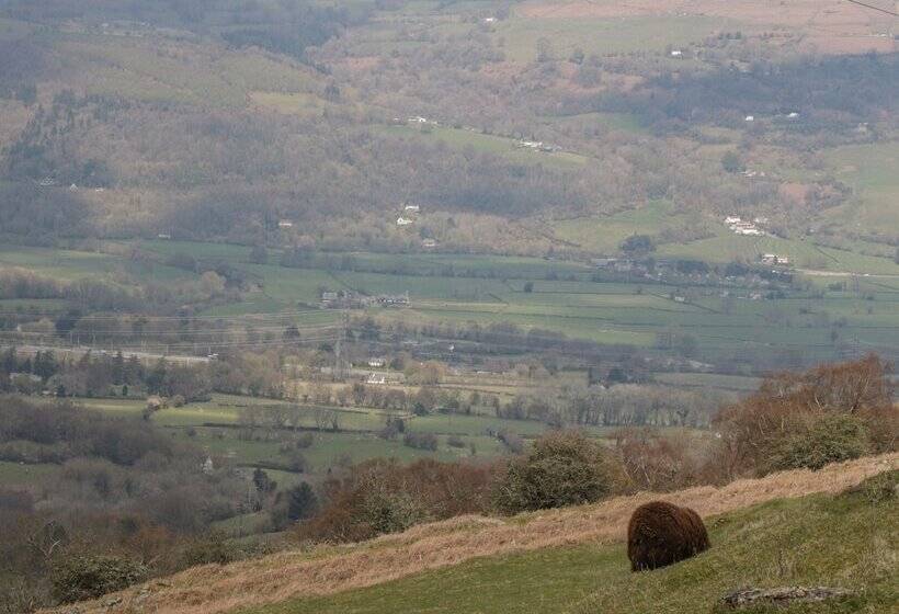 The Old Rectory Bed & Breakfast