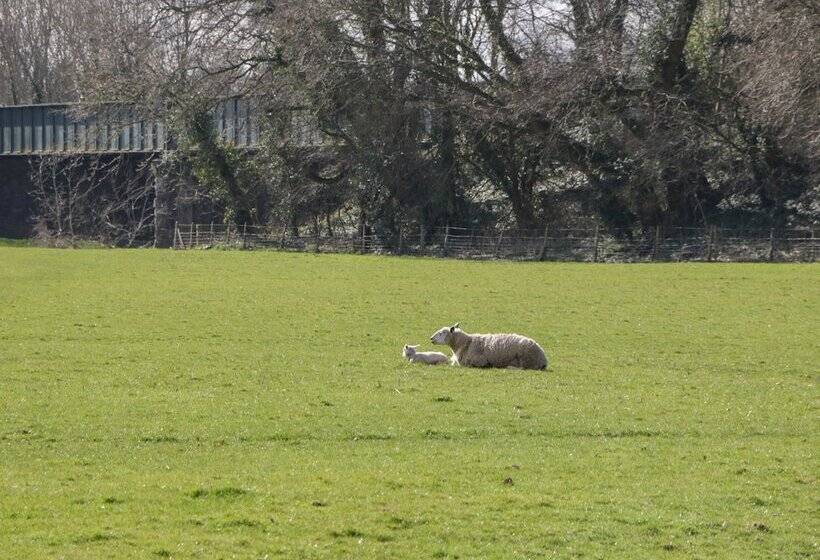 The Old Rectory Bed & Breakfast