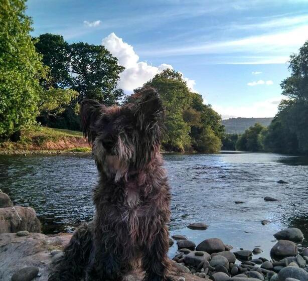 The Old Rectory Bed & Breakfast