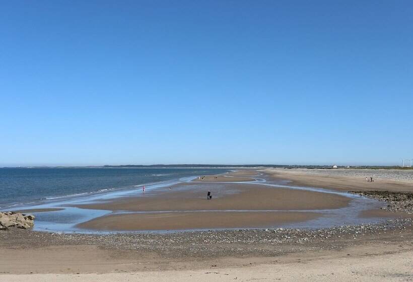 Sea Breeze