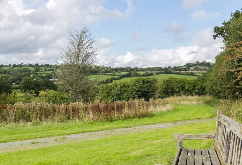 The Old Beams At Pont Y Forwyn