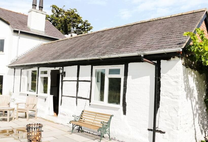 The Old Beams At Pont Y Forwyn