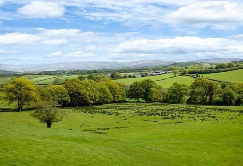 Black Mountain View