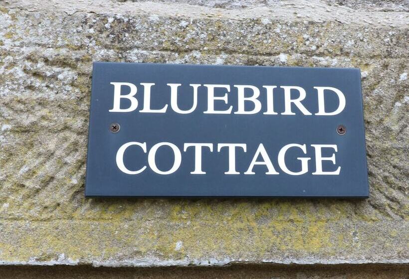 Bluebird Cottage