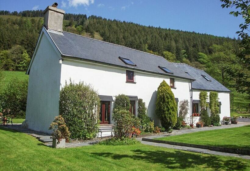 Dafarn Newydd