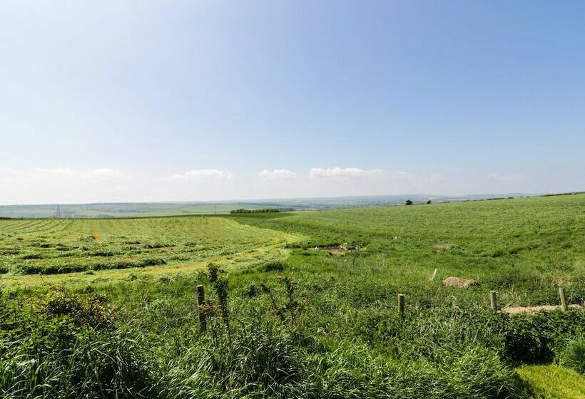 Field Cottage