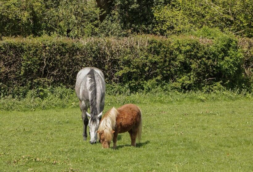 Higher Whiddon Farm Whiddon Well