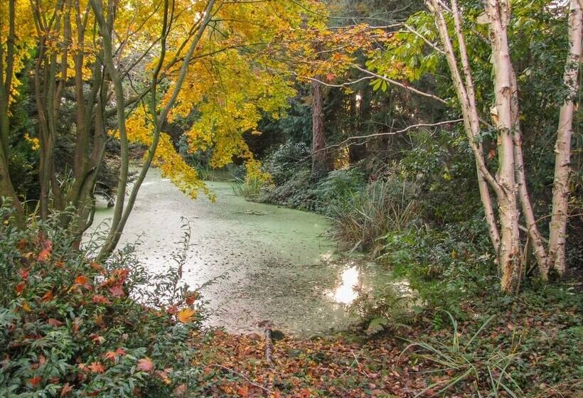 The Annex At 60 Rectory Lane