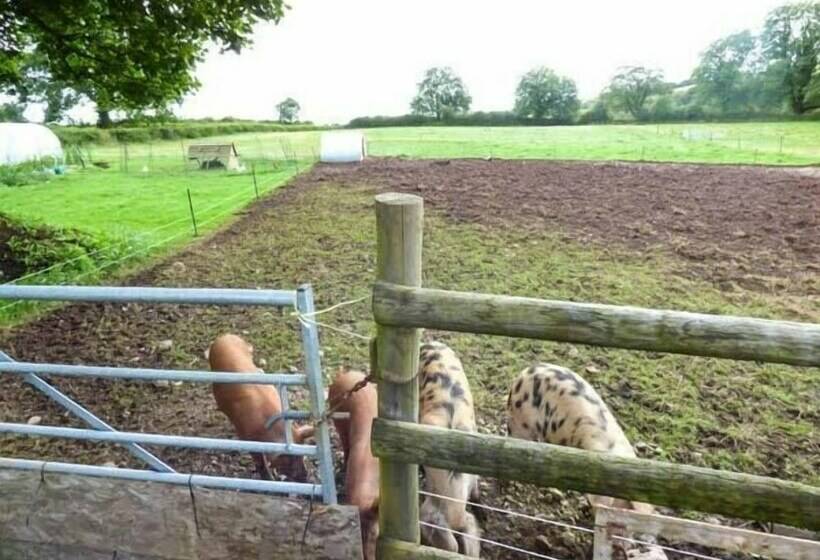 The Hideaway At The Barn